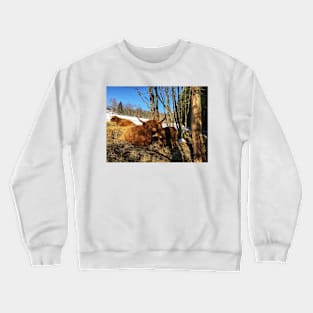 Scottish Highland Cattle Cows and Calf 1727 Crewneck Sweatshirt